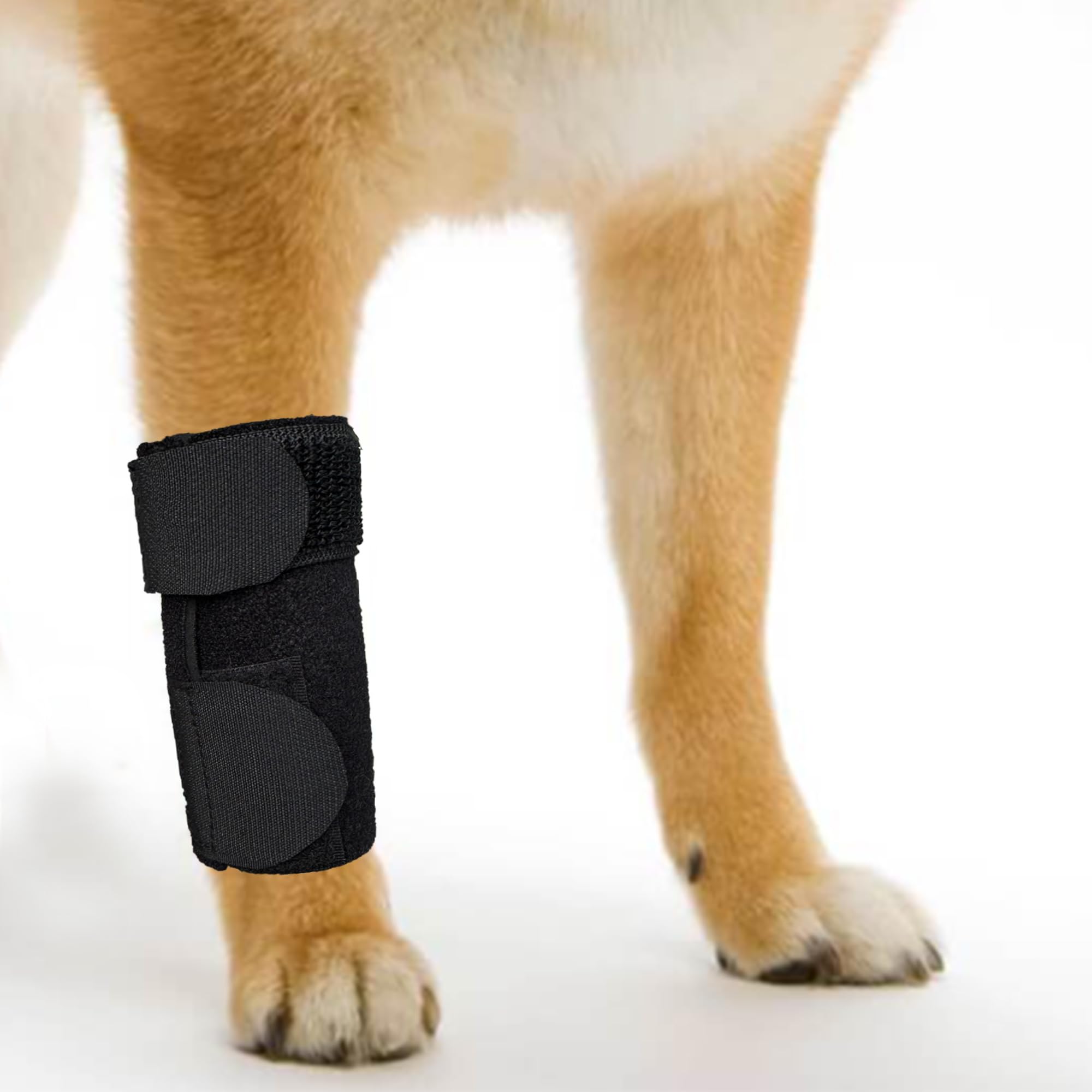 GenetGo Dog Canine Front Leg Brace Paw Compression Sleeve Joint Wraps - Protects Wounds Stop Licking & Prevents Injuries, Sprains Helps with Loss of Stability from Arthritis - Medium