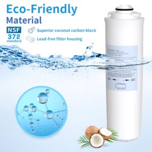 KrohneTec Filter Replacement for Elkay 51300C EWF3000 (No Chip - 1 Pack)