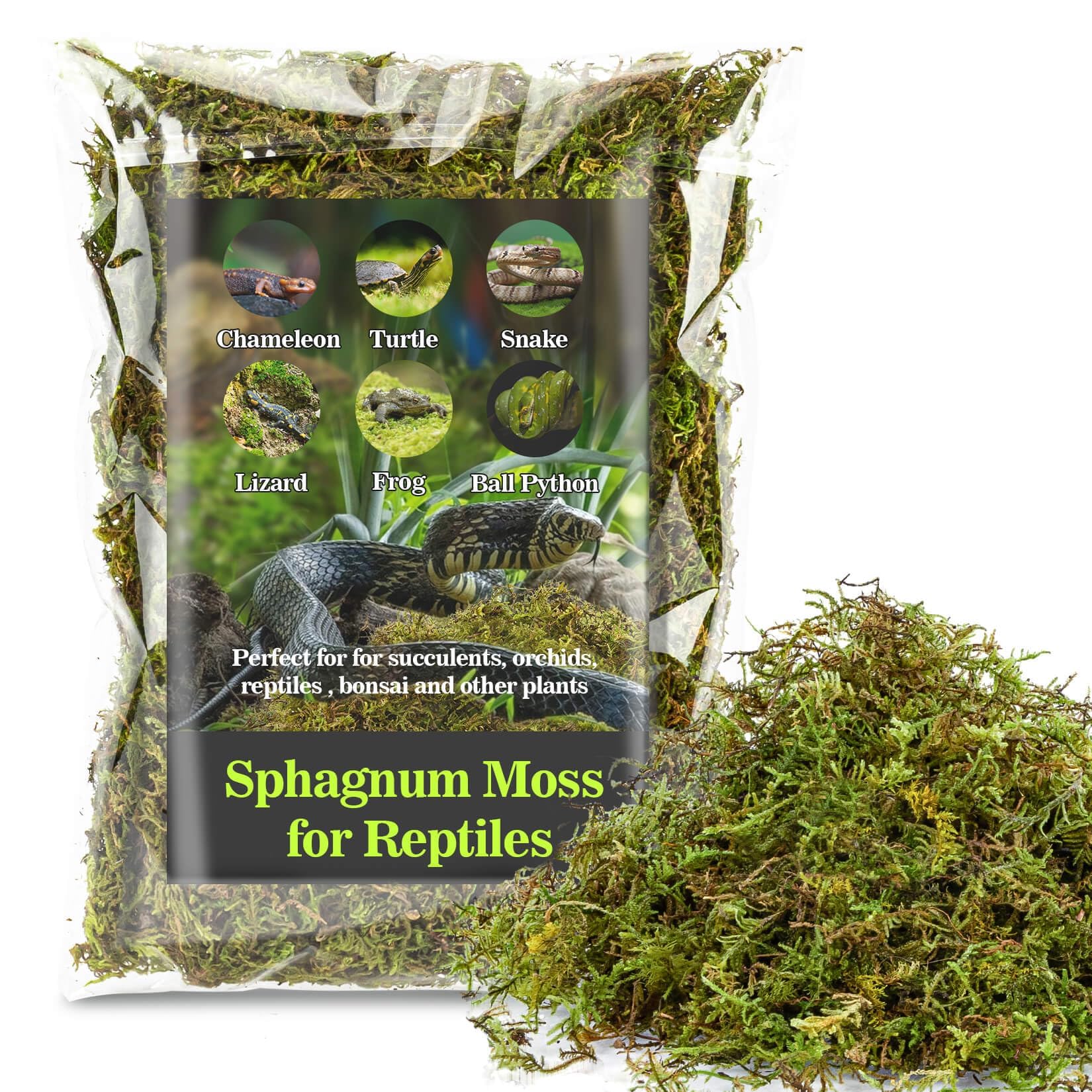 Sukh Sphagnum Moss for Reptiles - Terrarium Moss for Reptiles Peat Moss for Reptiles Habitat Bedding Moss for Snakes Turtle Frog Gecko and Other Reptiles Substrate (3, Ounces)