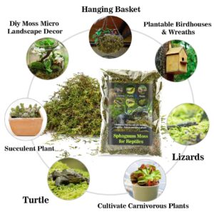 Sukh Sphagnum Moss for Reptiles - Terrarium Moss for Reptiles Peat Moss for Reptiles Habitat Bedding Moss for Snakes Turtle Frog Gecko and Other Reptiles Substrate (3, Ounces)