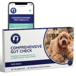 innovative pet lab comprehensive review- at-home-test kit for dog digestive health & allergy causes- gut microbiome symptoms evaluation & expert panel insights