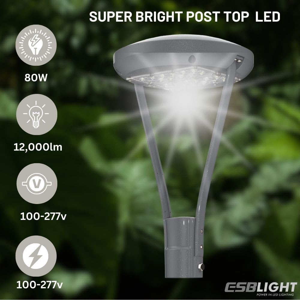 ESB LED Post Top Light Garden Streets Parking Lot, Commercial Area