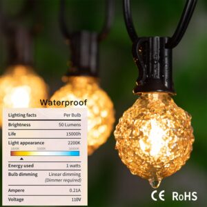 Hcnew Low Light Bulbs Warm Light,G40 Amber led Bulb,1 Watt Equivalent to 10W,50LM,2200K Ultra White,E12 LED Globe Bulbs Decorative Light Indoor Outdoor String Lights,Pineapple Shaped,6 Pack