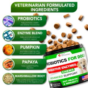 Probiotics for Dogs - Dog Probiotics and Digestive Enzymes for Gut Health, Itchy Skin, Allergies, Immunity, Yeast Balance - Prebiotics - Reduce Diarrhea, Gas - 120 Probiotic Chews Supplement for Dogs