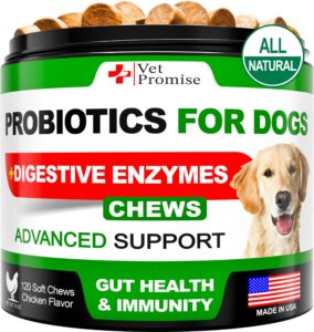 probiotics for dogs - dog probiotics and digestive enzymes for gut health, itchy skin, allergies, immunity, yeast balance - prebiotics - reduce diarrhea, gas - 120 probiotic chews supplement for dogs