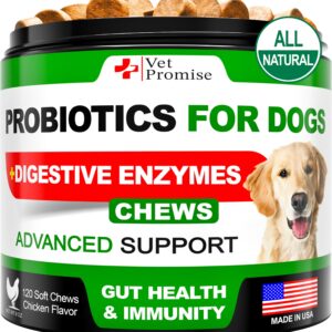 Probiotics for Dogs - Dog Probiotics and Digestive Enzymes for Gut Health, Itchy Skin, Allergies, Immunity, Yeast Balance - Prebiotics - Reduce Diarrhea, Gas - 120 Probiotic Chews Supplement for Dogs