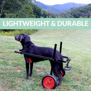 Best Friend Mobility Pro Series Dog Wheels for Back Legs Hyperlight Fiber Side Arms All Terrain Foam Tires for All The Dogs - Chair Only (Medium)