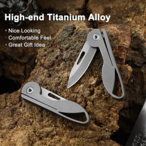 Joycube Titanium Alloy Small Keychain Knife, Mini Folding Pocket Knife, EDC Box Cutter, Gift for Women and Men (Titanium Alloy Handle/5Cr13 Steel Blade)