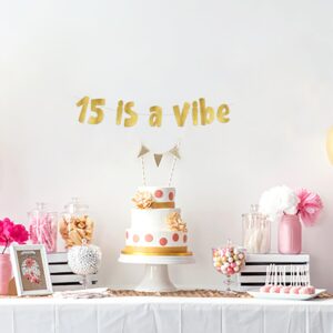 15 is a Vibe Gold Glitter Banner - 15th Birthday Party Supplies, Ideas, Gifts and Decorations