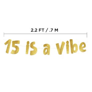 15 is a Vibe Gold Glitter Banner - 15th Birthday Party Supplies, Ideas, Gifts and Decorations