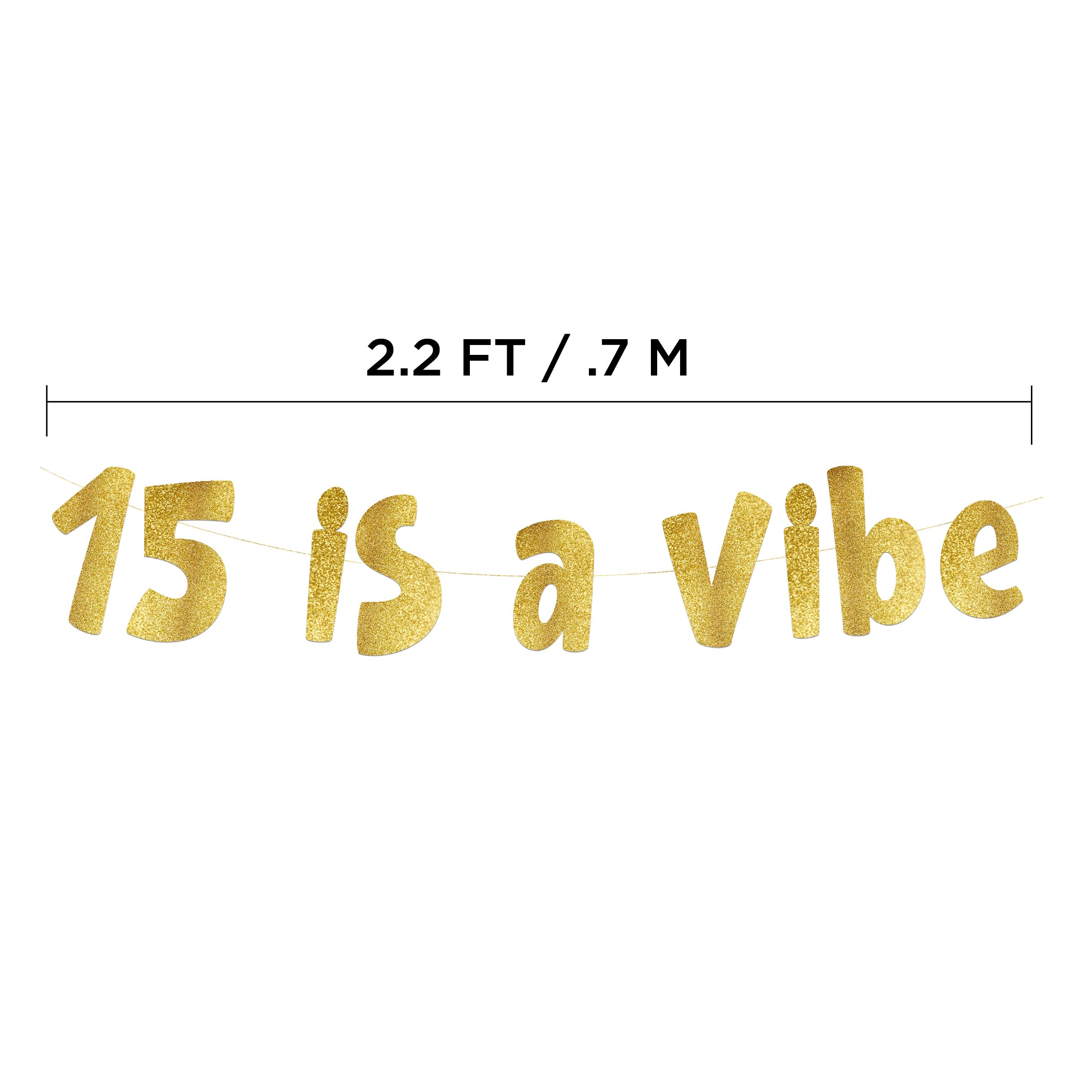 15 is a Vibe Gold Glitter Banner - 15th Birthday Party Supplies, Ideas, Gifts and Decorations