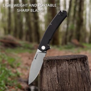 Warspear Degory Flipper Folding Knife 3.75" Stonewshed D2 Blade Black G10 Handle Outdoor Camping Fishing Pocket Knife With Deep Carry Clip WP902WBK