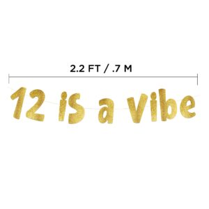 12 is a Vibe Gold Glitter Banner - 12th Birthday Party Supplies, Ideas, Gifts and Decorations