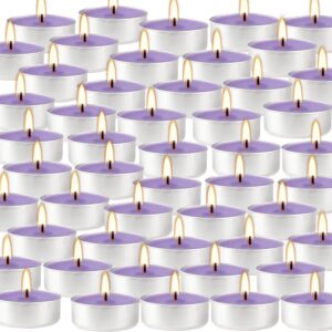 Howemon Purple Lavender Scented Tealight Candles - 4 Hours - Giant 100 Bulk Packs - Smokeless Tea Lights for Valentine's Day, Weddings,Christmas, Home Decorative