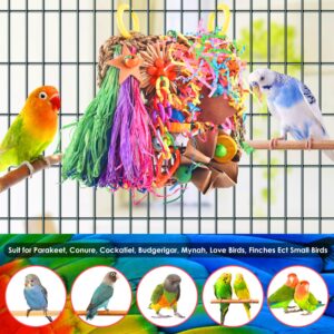 KATUMO Conure Toys, Bird Grass Mat Parakeet Shredder Hanging Toys Cockatiel Foraging Toys Parrot Climbing Wall Toys Lovebird Cage Toys for Small Birds