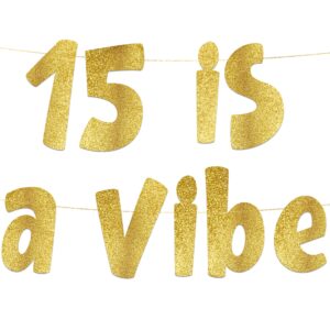 15 is a vibe gold glitter banner - 15th birthday party supplies, ideas, gifts and decorations