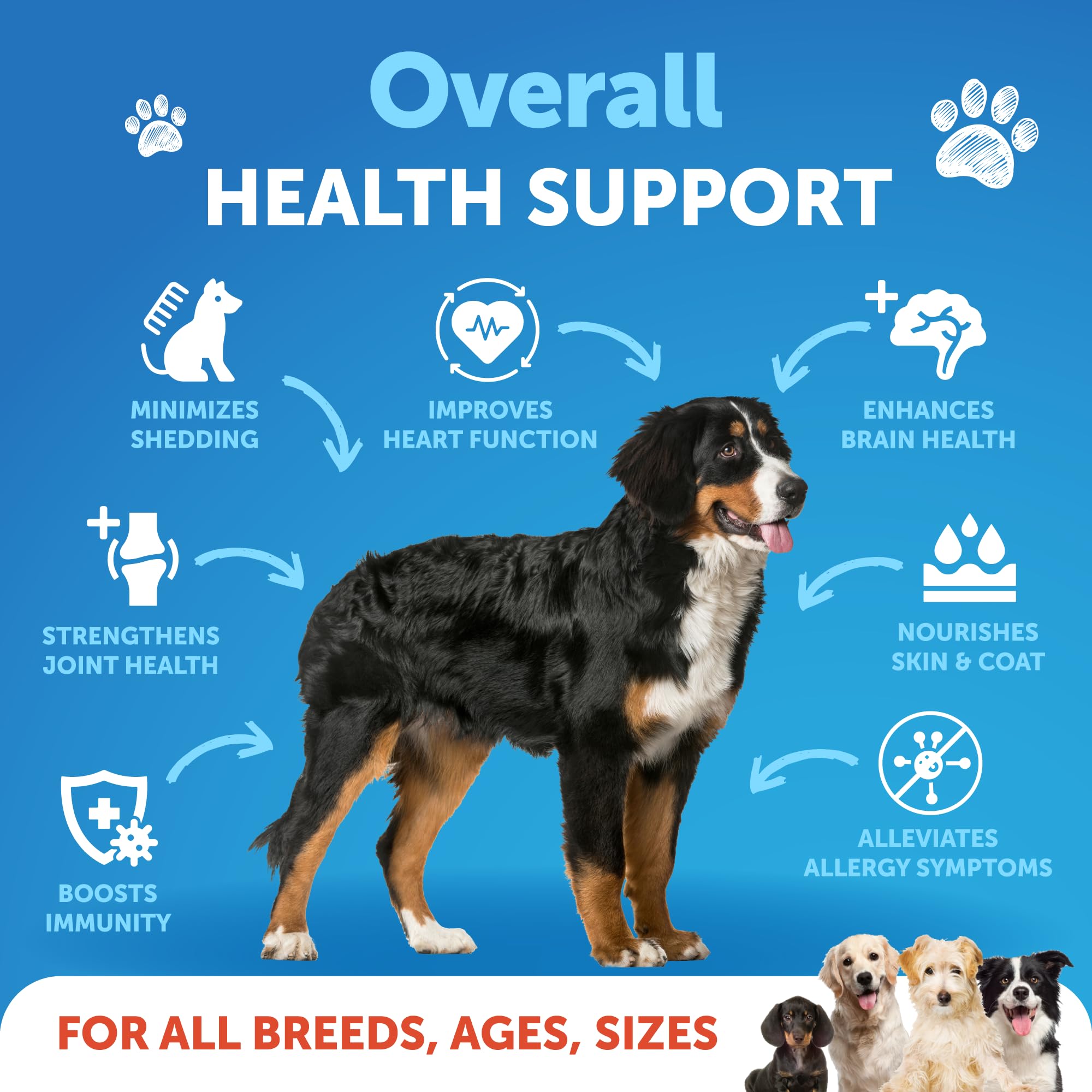 Omega 3 Fish Oil for Dogs - Better Than Salmon Oil for Dogs - Dog Fish Oil - Fish Oil Liquid for Pets EPA DHA - Skin and Coat Food Supplement for Dogs - Allergy, Itch, Shedding, Dry Skin, Joints