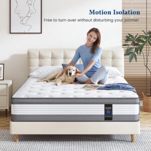 Coolvie Twin Mattress, 12 Inch Twin Size Hybrid Mattress, Twin Mattress in A Box, Individual Pocket Springs with Memory Foam Layer Provide Motion Isolation & Cool Sleep, 2024 New