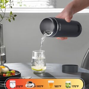 Sekaer Travel Portable Electric Kettle, Small Tea Kettle Coffee Mini Hot Water Boiler, 400mL & 304 Stainless Steel, with 4 Variable Presets and Auto Shut-Off SKE-840G