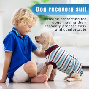 Puptoceed Dog Surgery Rrecovery Suit Dog Onesies for Surgery Recovery Dog Body Suits After Surgery Dog Recovery Suit Surgery Suit for Dogs Dog Surgery Suit Dog Neuter Recovery Suit,M