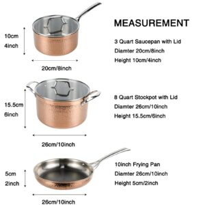 Cyrder Stainless Steel Pots and Pans Set, Luxury Tri-Ply Hammered Kitchenware Cookware with Lids, Heavy Duty & Non-Toxic Rose Gold Special Hammered Pattern Detail, 5-Piece