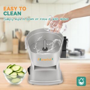 Newhai 4 in 1 Commercial Vegetable Chopper, Multifunctional Automatic Dicer & Slicer, Electric French Fry Cutter, Onion Shredder Potato Slicer, Veggie Processor with 110V Quite Motor and Multi Blades