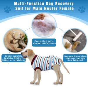 Puptoceed Dog Surgery Rrecovery Suit Dog Onesies for Surgery Recovery Dog Body Suits After Surgery Dog Recovery Suit Surgery Suit for Dogs Dog Surgery Suit Dog Neuter Recovery Suit,M