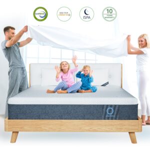 12 Inch Hybrid Full Mattress, Medium Firm with Memory Foam for Pressure Relieving & Individually Wrapped Springs for Motion Isolation, Affordable Bed Mattress in a Box, CertiPUR-US Certified-Full