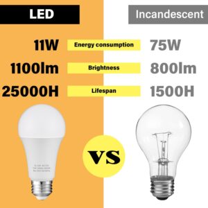 KEIVO 12 Volt Light Bulb, Warm White 3000K, 75 Watt Equivalent, 11W 1100 Lumens, AC/DC 12-24V Low Voltage Led Bulbs, A19 E26 Standard Base, Bright Bulbs for RV, Off Grid Cabin, Camper, 2 Pack