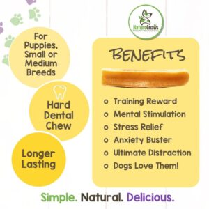 Nature Gnaws Yak Chews for Dogs - Premium Natural Hard Cheese Bones - Long Lasting Dog Chew Treats for Agressive Chewers - Rawhide Free - 1lb