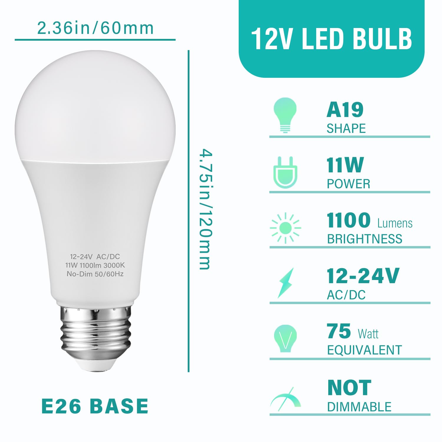 KEIVO 12 Volt Light Bulb, Warm White 3000K, 75 Watt Equivalent, 11W 1100 Lumens, AC/DC 12-24V Low Voltage Led Bulbs, A19 E26 Standard Base, Bright Bulbs for RV, Off Grid Cabin, Camper, 2 Pack