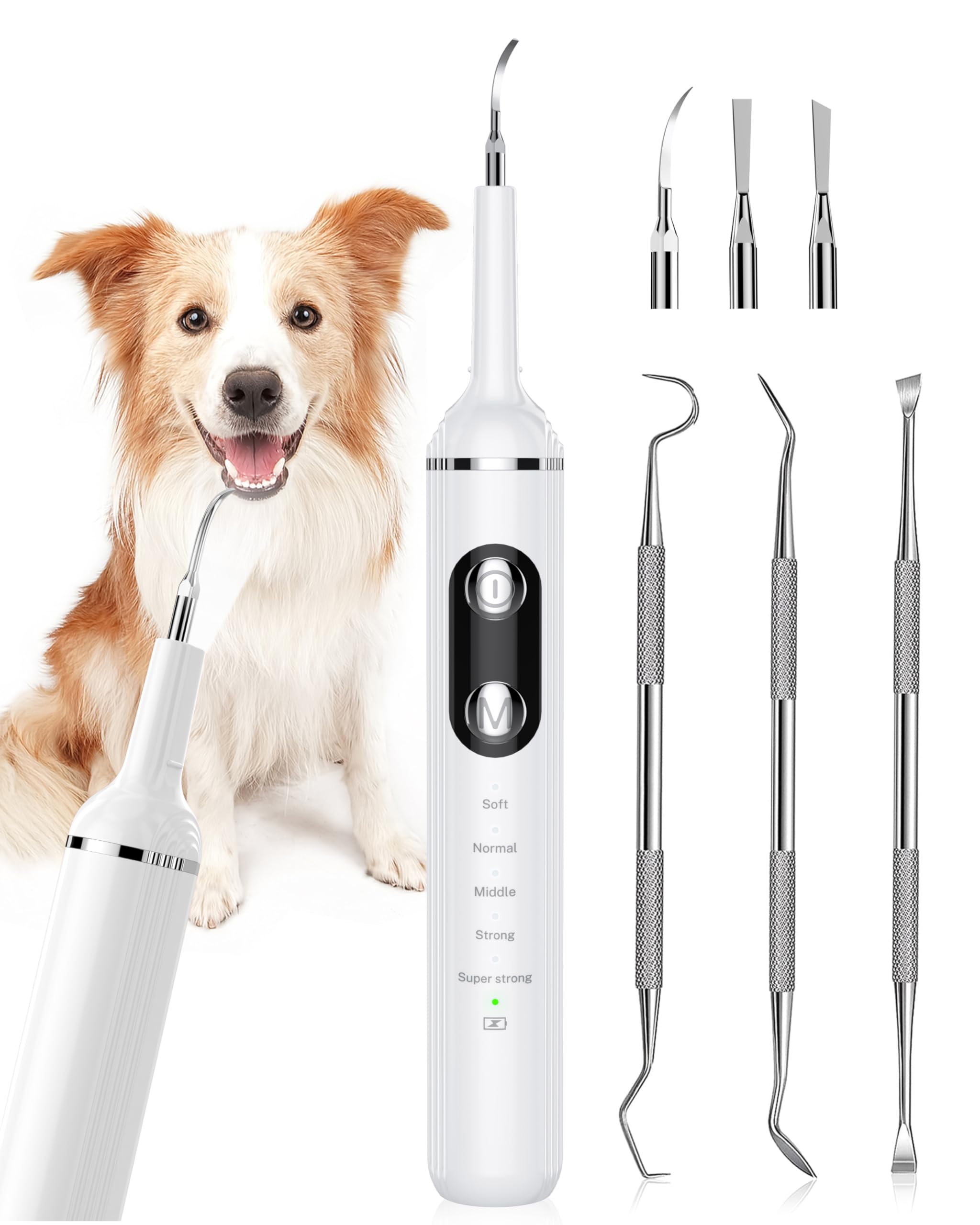 NATURE NERDS Plaque Remover for Teeth, Pet Tooth Brushing Kit, Dental Tools to Remove Plaque and Tartar, Safe for Dog and Cat, with LED Light, White