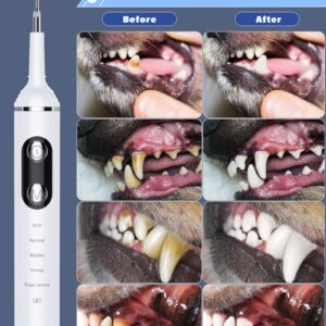 NATURE NERDS Plaque Remover for Teeth, Pet Tooth Brushing Kit, Dental Tools to Remove Plaque and Tartar, Safe for Dog and Cat, with LED Light, White