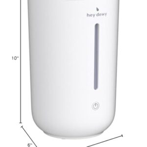 Hey Dewy Wellness Humidifier - for home, office, bathroom spa, or bedroom, with cool utrasonic mist hydration (Pearl)