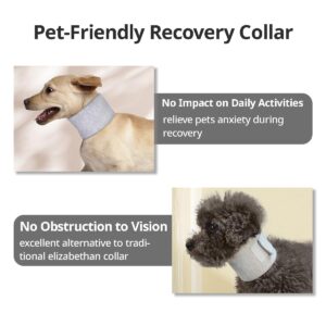 MANON ROSA Cat Neck Brace Elizabethan Collar for Pet After Surgery Recovery Adjustable Breathable Neck Cervical Cone for Small Medium Dogs Puppies Kittens with Spinal IVDD Issues (Medium,Grey)