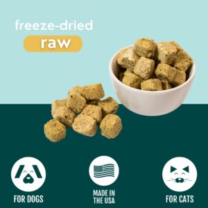 Momentum Carnivore Nutrition Freeze-Dried Chicken, Spinach & Sea Kelp – Single-Ingredient Raw Dog & Cat Treats – High-Protein, Grain-Free Snacks for Pets – 3 oz Bag