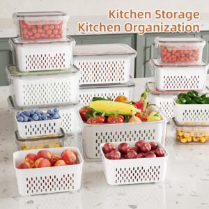 KEMETHY 10 Pack Fruit Storage Containers for Fridge with Removable Colanders - Food Storage Containers with Lids, BPA-Free Produce Containers Keep Fruits, Vegetables, Berry, Meat Fresh Longer