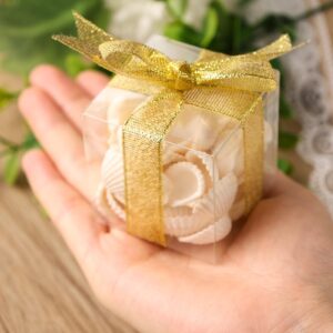 VGOODALL 25PCS Clear Favor Boxes with Ribbon, 2inch Transparent Cube PET Boxes Small Gift Boxes for Wedding, Bridal Shower, Baby Shower, Christmas Party