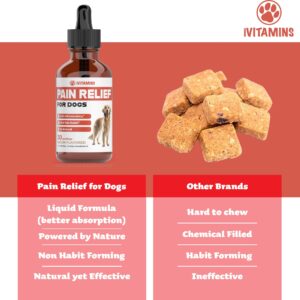 Natural Pain Relief for Dogs | Dog Pain Relief | May Help with Joint, Hip, Heart Health & Much More | Pain Relief for Dogs for Older Dogs | Dog Supplements & Vitamins | Dog Joint Pain Relief | 1 fl oz