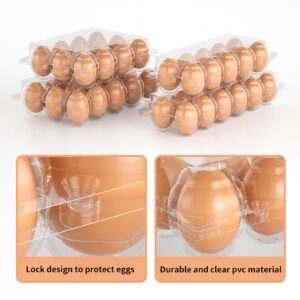 100 Pack Egg Cartons Cheap Bulk 12 Count Clear Plastic Egg Containers for Chicken Eggs, Reusable Egg Holder for Home Ranch Farm Commercial Market Display, Plastic Egg Packaging for Craft Projects