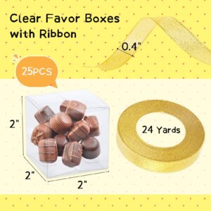 VGOODALL 25PCS Clear Favor Boxes with Ribbon, 2inch Transparent Cube PET Boxes Small Gift Boxes for Wedding, Bridal Shower, Baby Shower, Christmas Party