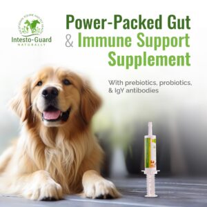 INTESTO-GUARD All-Natural Probiotic Pet Supplement - Prebiotic & Probiotics for Dogs & Cats - Bowel, Digestive, & Immune Support | Supports Gut Flora, Nutrition - 60cc Probiotic Paste(6 Pack)