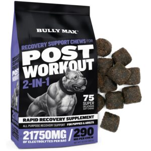 bully max 2-in-1 post-workout recovery support chews - dog vitamins and food supplement for small & large breeds - puppy and adult dog hydration & electrolyte replenishment - 75 soft and tasty chews