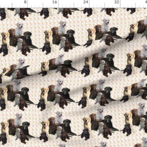 Spoonflower Fabric - Labrador Retriever Retrievers Lab Dogs Animals Paisley Pastel Printed on Petal Signature Cotton Fabric Fat Quarter - Sewing Quilting Apparel Crafts Decor