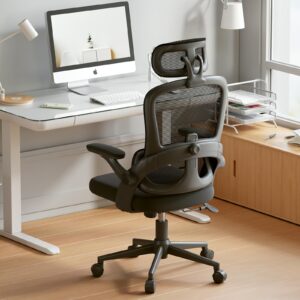 SIHOO M102C Ergonomic Mesh Office Chair, High Back Desk Chair with 3D Armrests, Up&Down Lumbar Support, Swivel Computer Task Chair with Adjustable 2D Headrest, Tilt Function Black