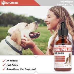 Natural Pain Relief for Dogs | Dog Pain Relief | May Help with Joint, Hip, Heart Health & Much More | Pain Relief for Dogs for Older Dogs | Dog Supplements & Vitamins | Dog Joint Pain Relief | 1 fl oz