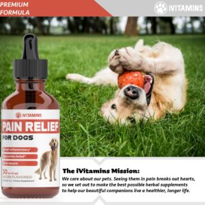 Natural Pain Relief for Dogs | Dog Pain Relief | May Help with Joint, Hip, Heart Health & Much More | Pain Relief for Dogs for Older Dogs | Dog Supplements & Vitamins | Dog Joint Pain Relief | 1 fl oz