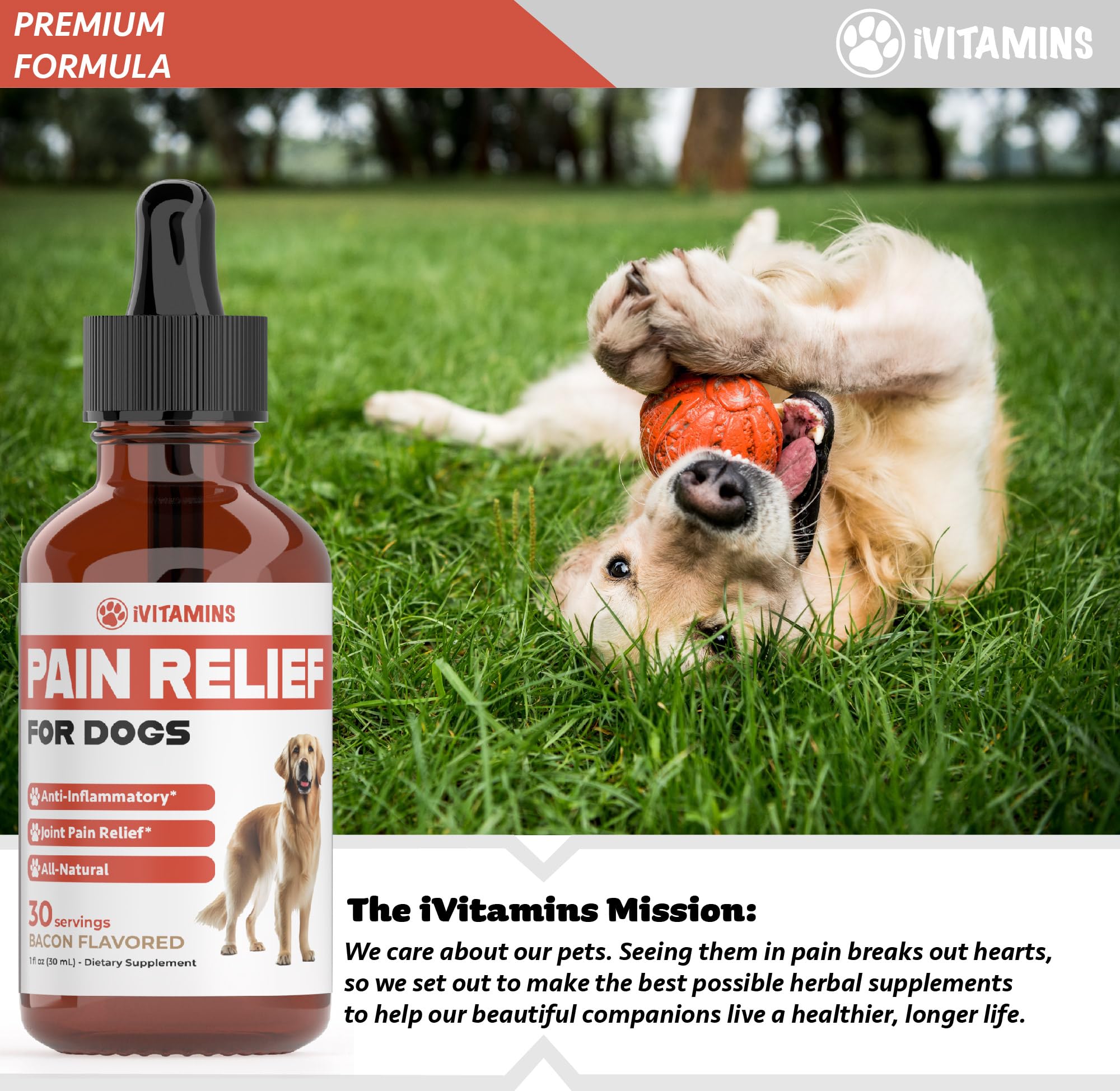 Natural Pain Relief for Dogs | Dog Pain Relief | May Help with Joint, Hip, Heart Health & Much More | Pain Relief for Dogs for Older Dogs | Dog Supplements & Vitamins | Dog Joint Pain Relief | 1 fl oz