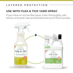 Wondercide - Flea, Tick and Mosquito Spray for Dogs, Cats, and Home - Flea and Tick Killer, Control, Prevention, Treatment - with Natural Essential Oils - 4 oz Lemongrass & Cedarwood 2-Pack