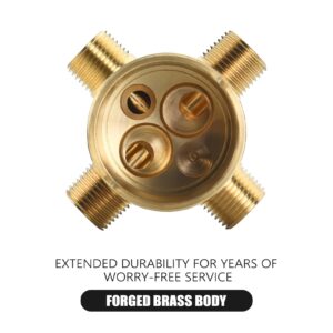 Tub and Shower Valve Body for D Shower Faucet, Works with D 13, 14, 17 or 17T Series Single-Function or Dual-Functions Shower Valve Trim Kits, Brass Construction